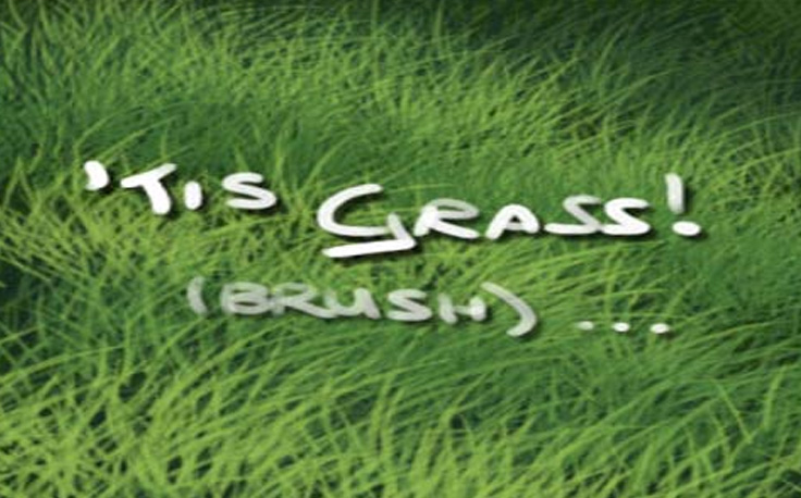 Grass Brush Photoshop