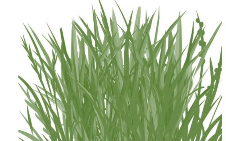 Grass Brushes for Photoshop