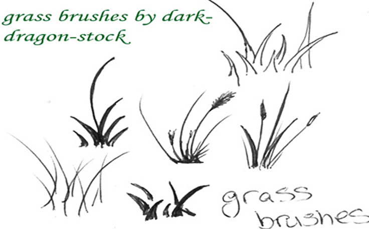 Grass Brushes