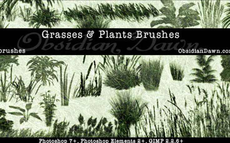Grasses and Plants PS Brushes