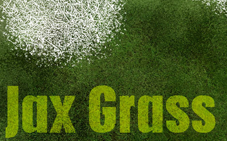 Jax Grass Brushes