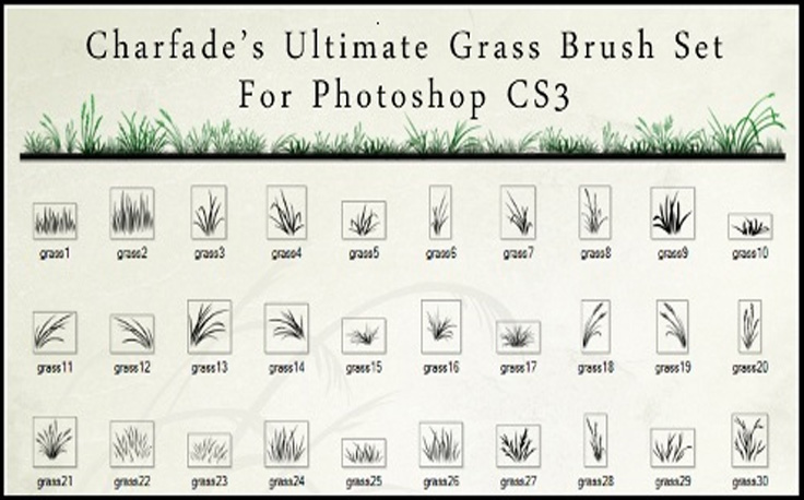 Ultimate Grass Brush Set Free Adobe Photoshop