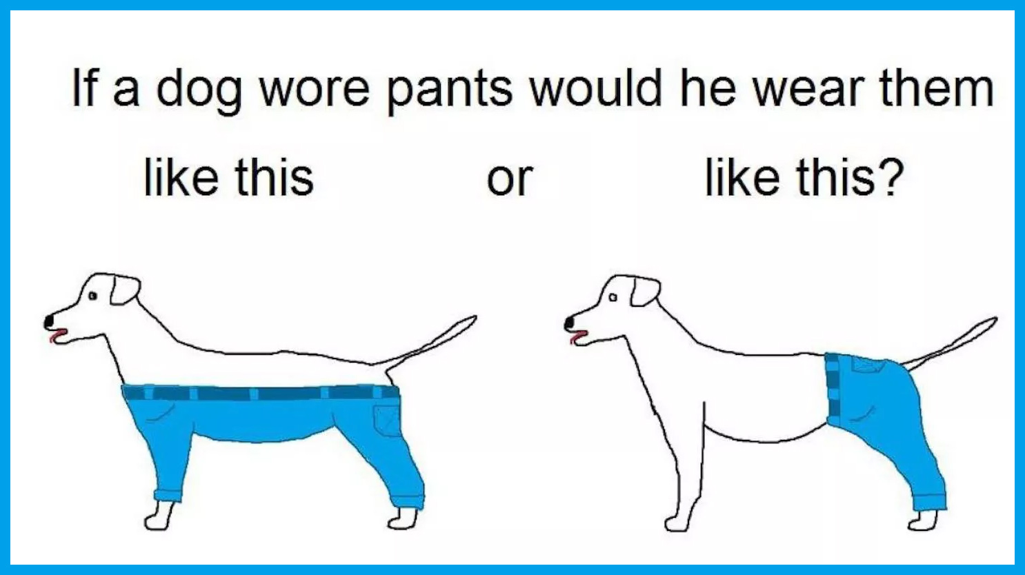 A Diagram of Two Possible Ways Dogs Could Wear Pants