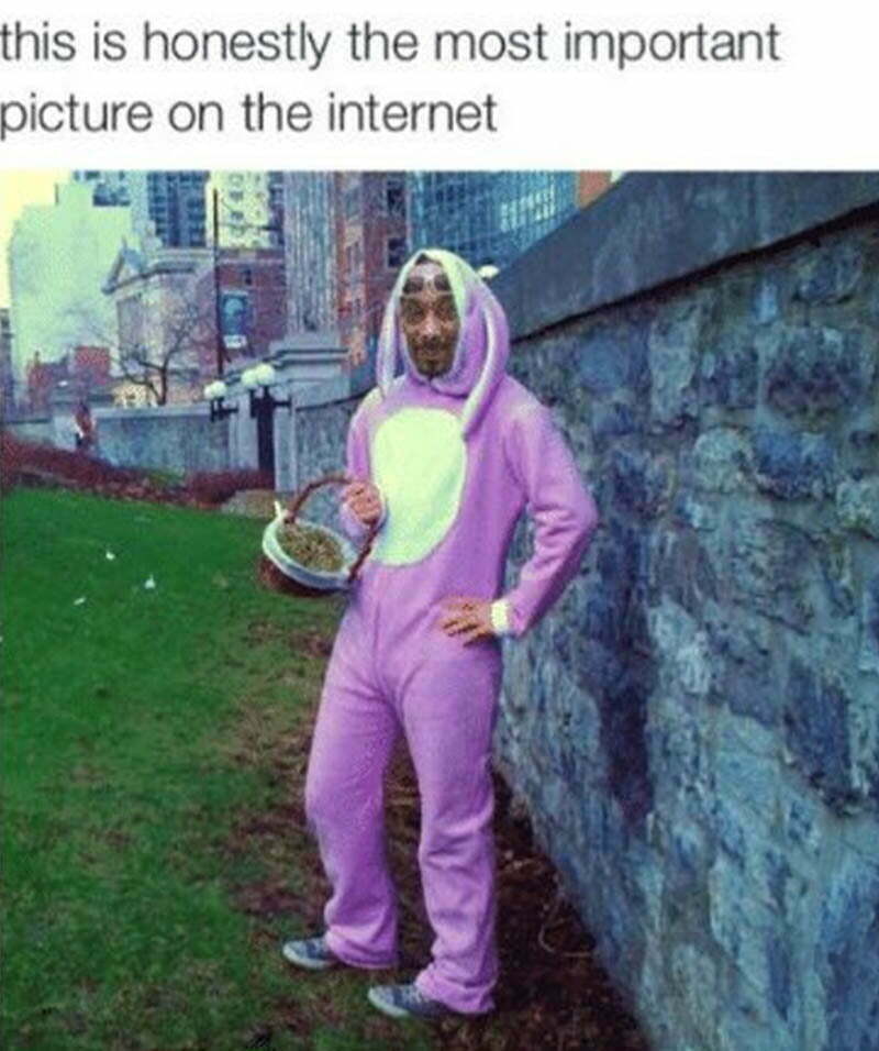 High Bunny Most important image on the internet