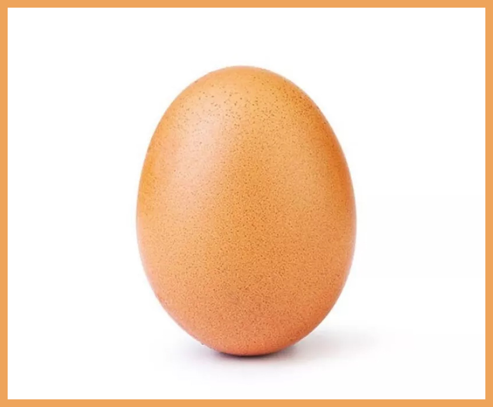 The World Record Egg on Instagram