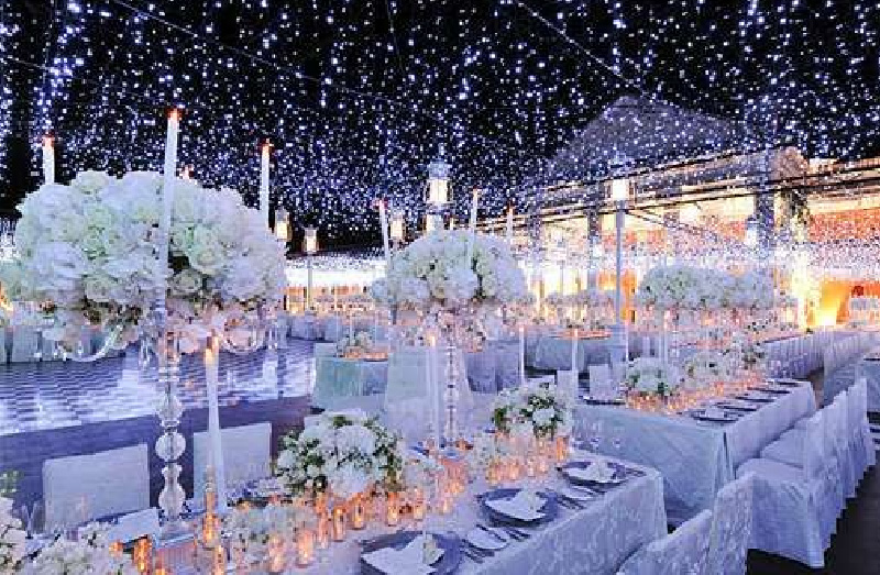 Winter Wonderland Wedding Reception