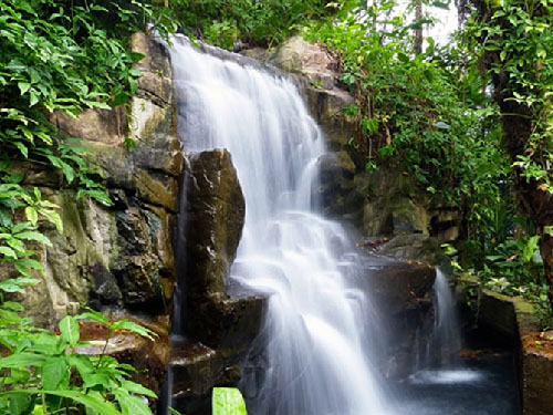 Artificial Waterfall In Garden