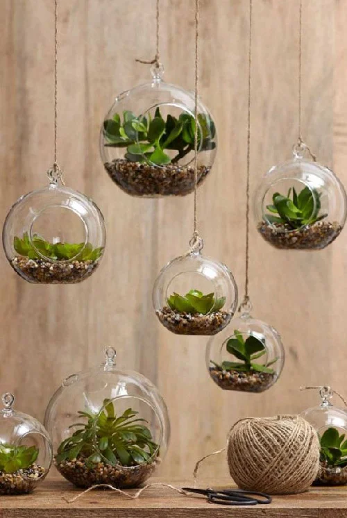 Best Indoor Gardening Ideas