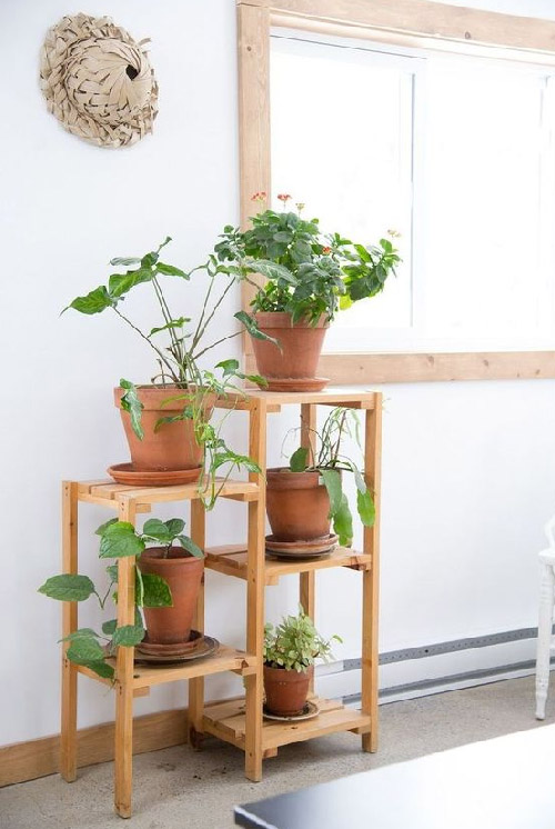 DIY Indoor Plant Stands