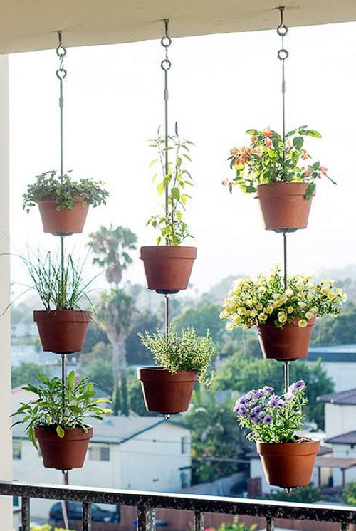 Hanging Plant Ideas