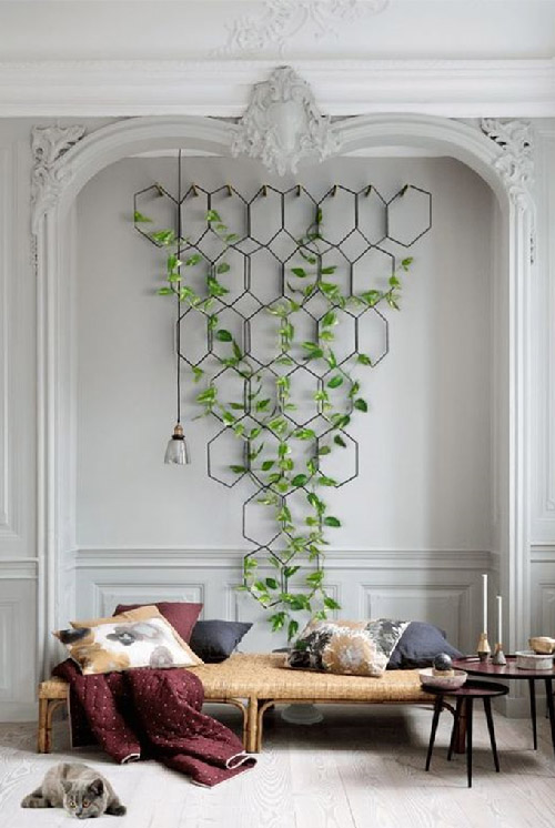 Simple Indoor Hanging Plants