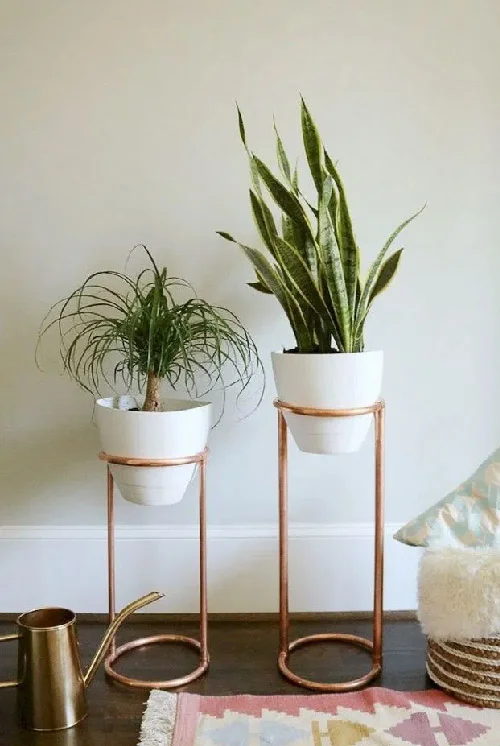Unique Plant Stand Ideas