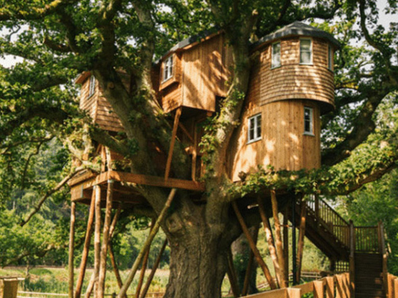 Beautiful Tree House Design