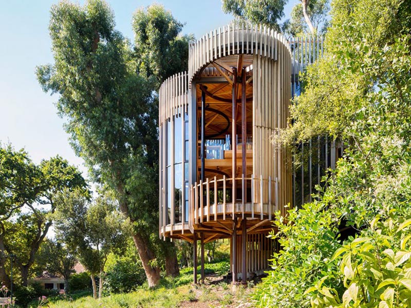 Modern Tree House Design
