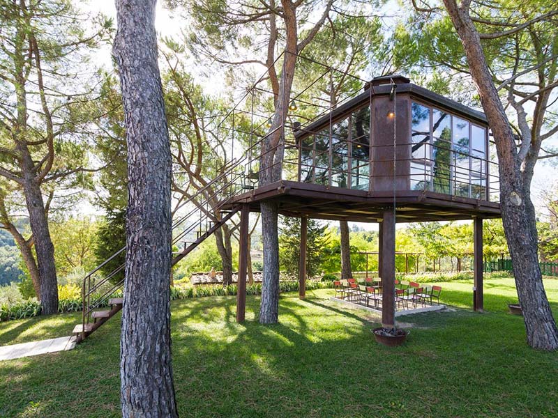 Spacious And Luminious Treehouse With Glass Walls