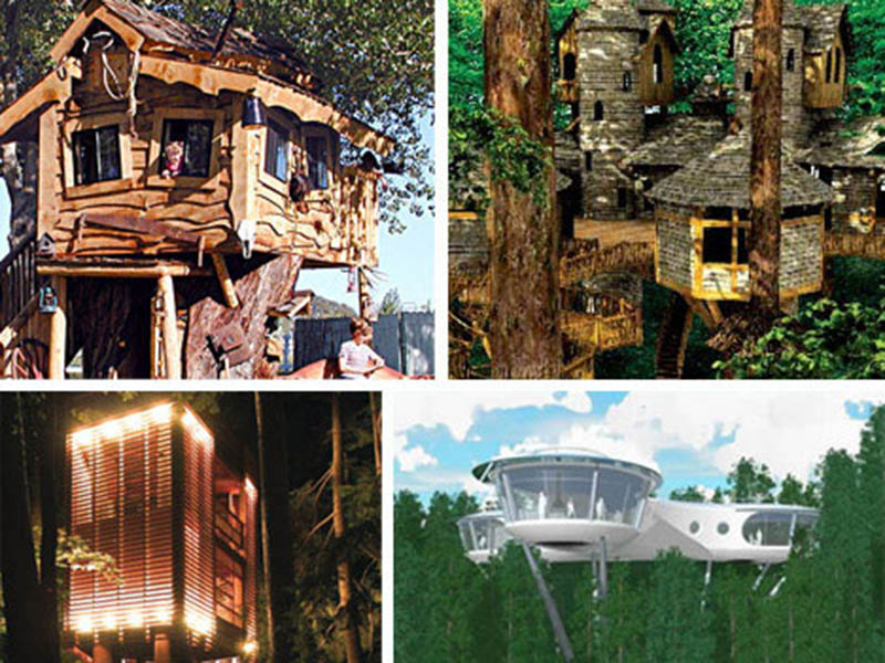 Amazing Creative Unique Tree House