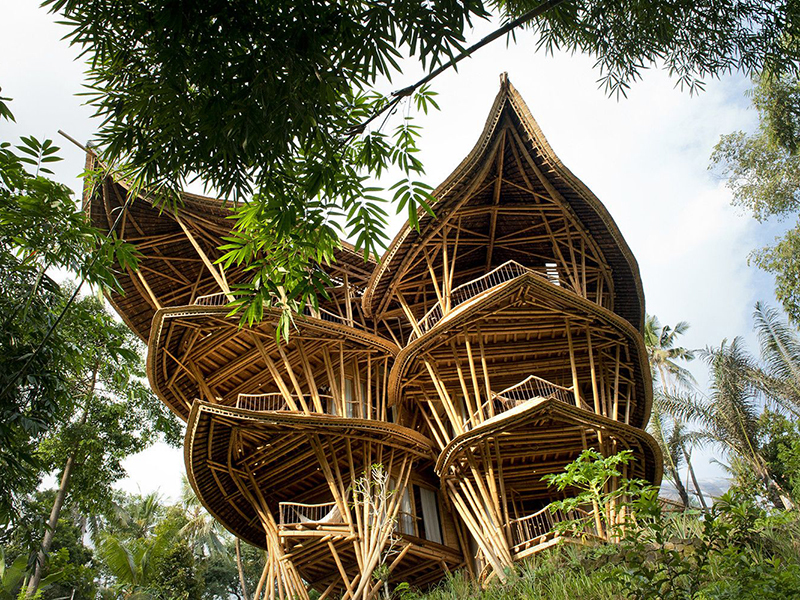 Attractive Tree House