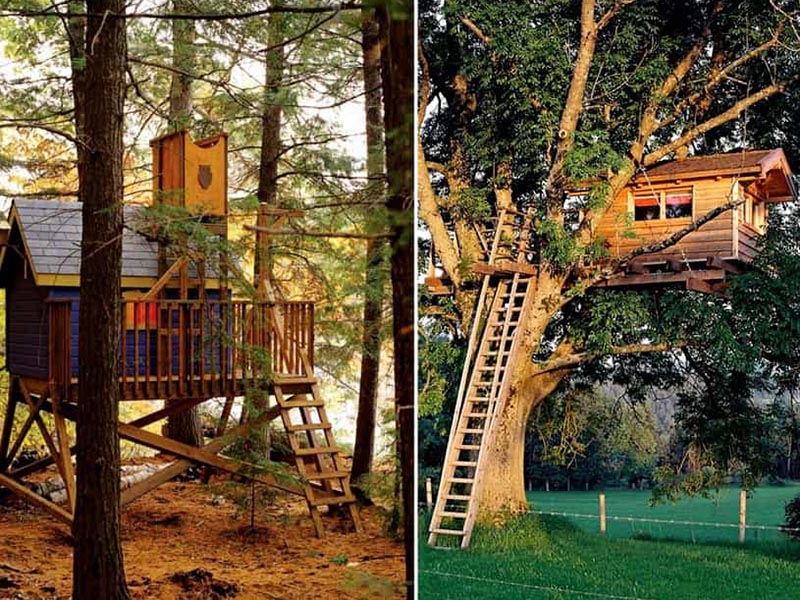 Dreamy Treehouse Design