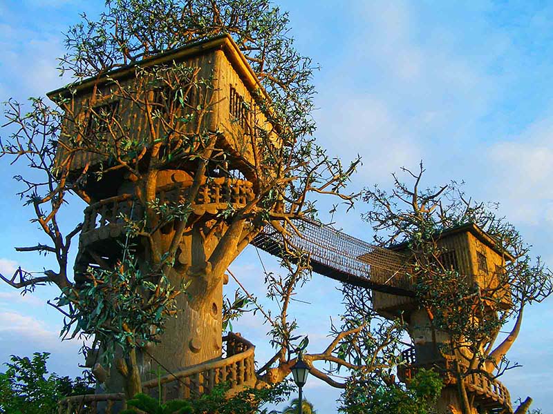 Fantastic Tree House
