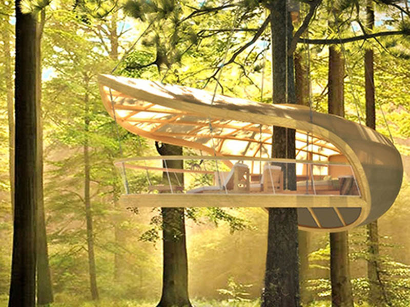 Innovative Sustainable Tree House