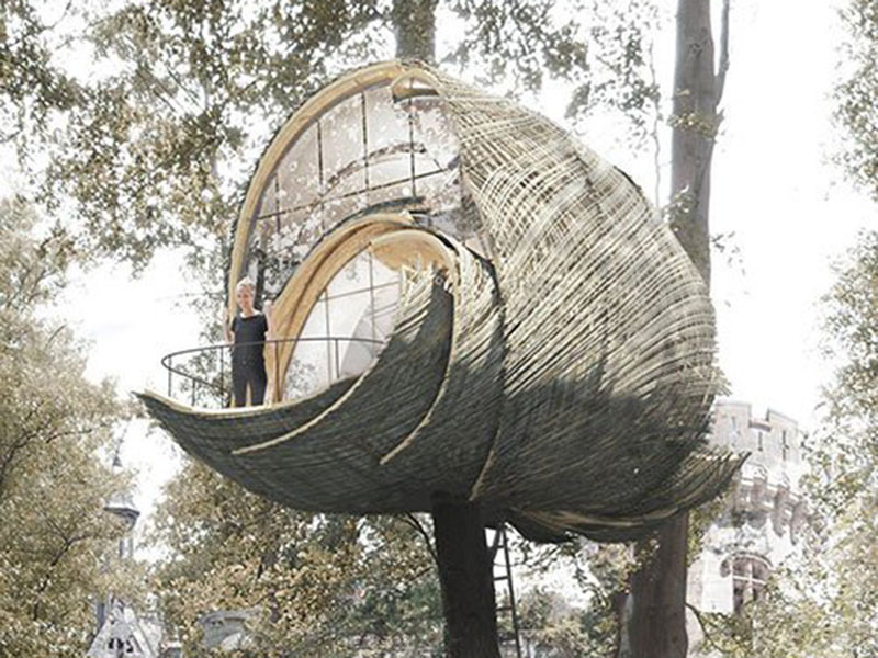 Nest Design Tree House