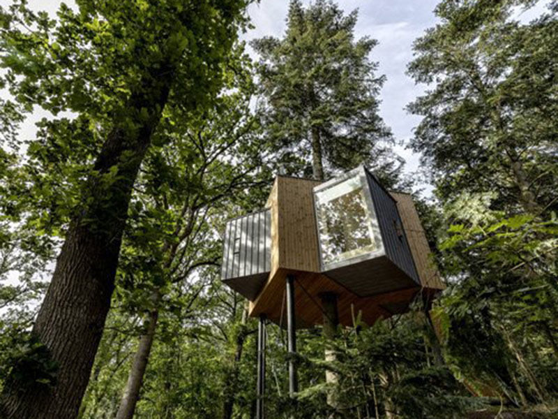 Nine Wooden Cabin Tree House