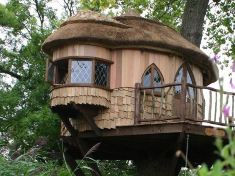 Outstanding Luxury Tree House