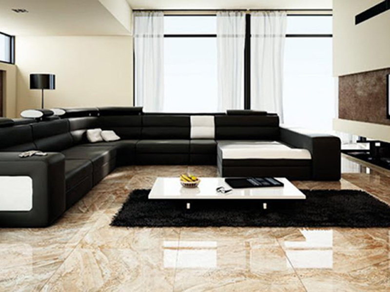 Proclain Floor Tiles Living Room