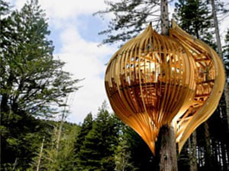 The Best Tree House