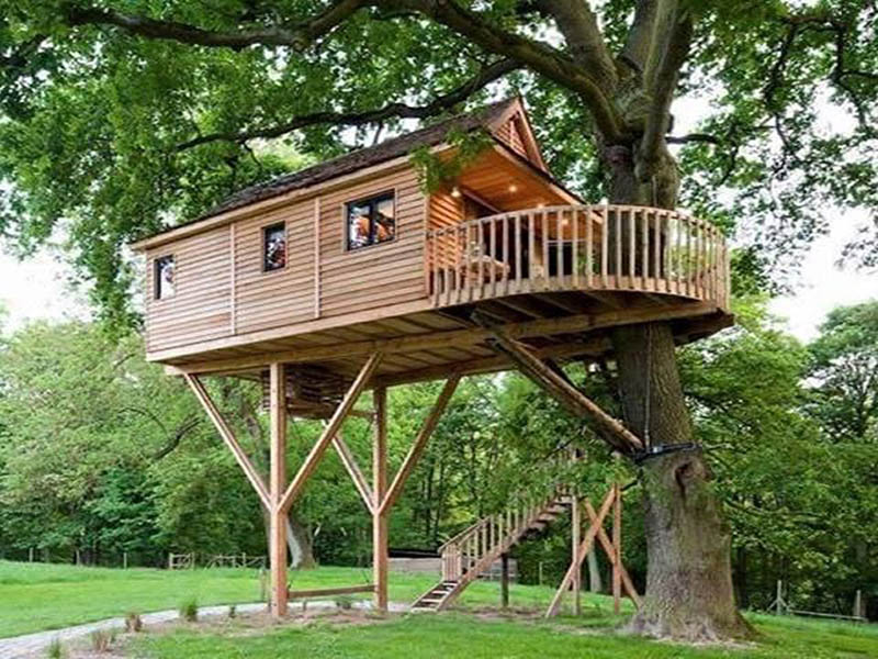 Tiny Coolest Tree House