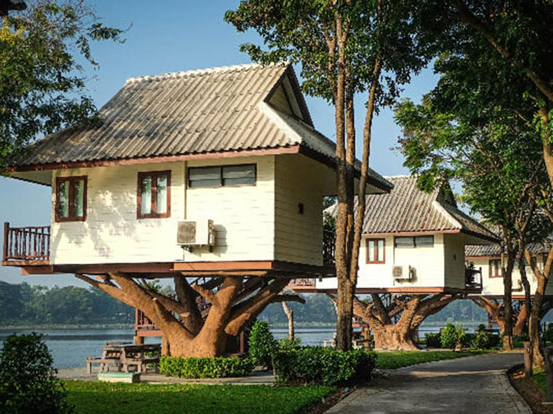 Tree House Amazing Design