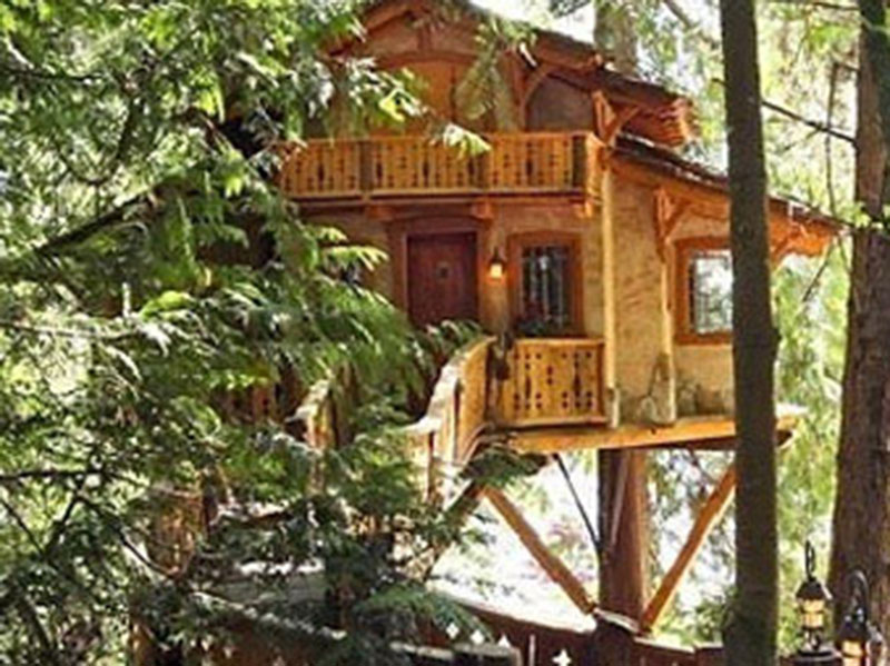 Tree House Architectural Design