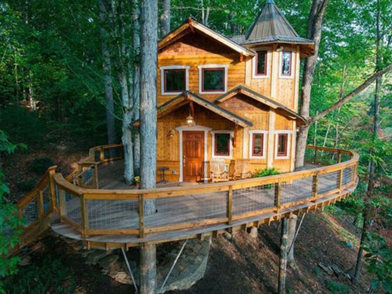 Treehouse Beautiful Design