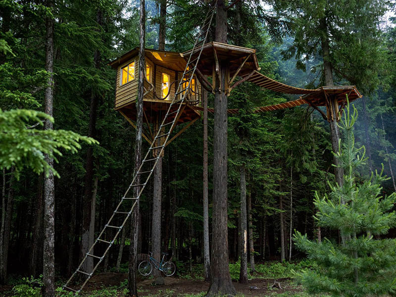 Unbelievable Tree House