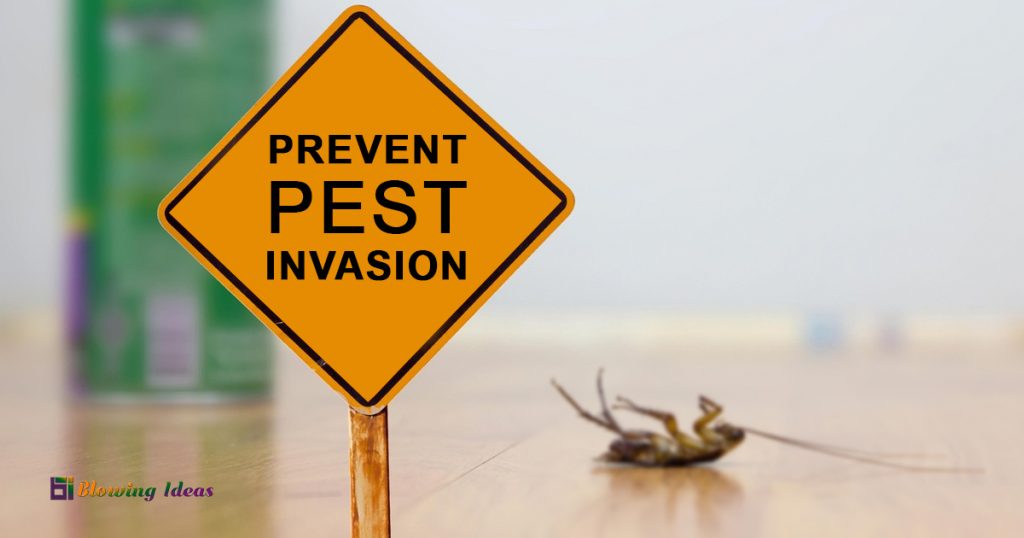 Top 6 tips that can help you prevent pest invasion in your home