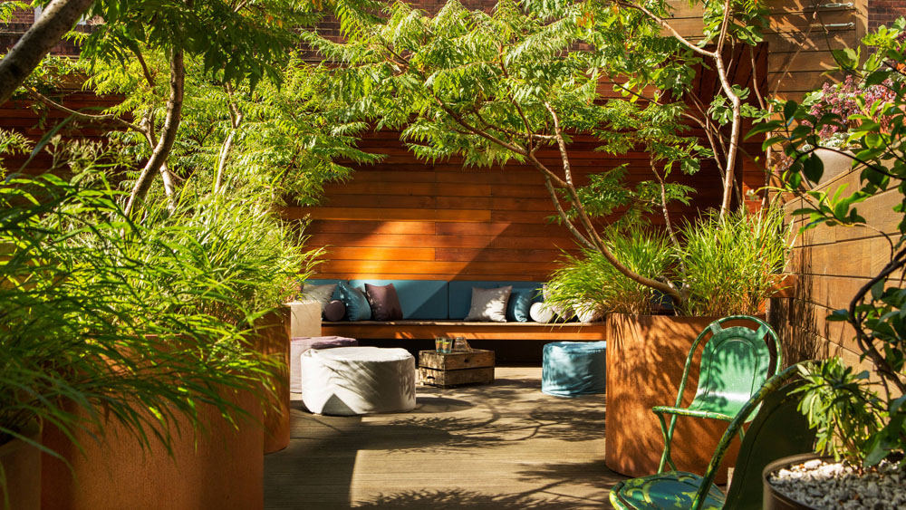 Shade Tree