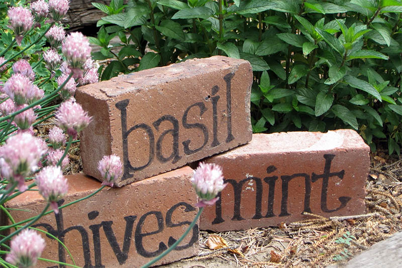 brick herb markers