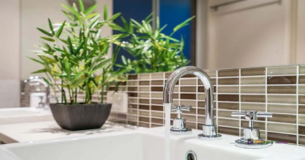 Best Ways To Put Plants In Bathroom