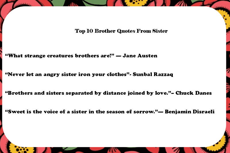 Top 10 Brother Quotes From Sister