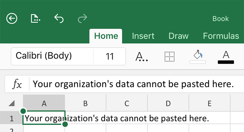 Your Organization's Data Cannot be Pasted Here