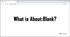 What Is About Blank 300x158
