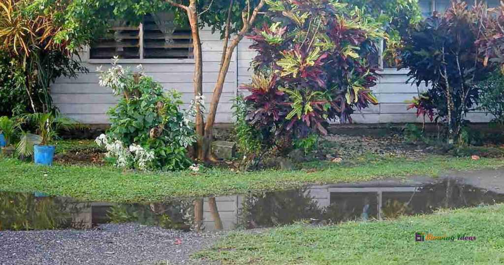 How To Soak Up Water In The Backyard 1024x538