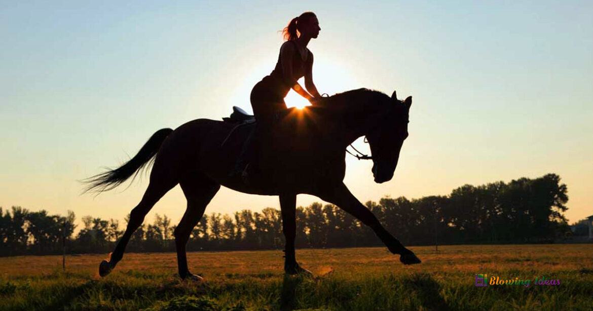 Horseback Riding Tips for Intermediate