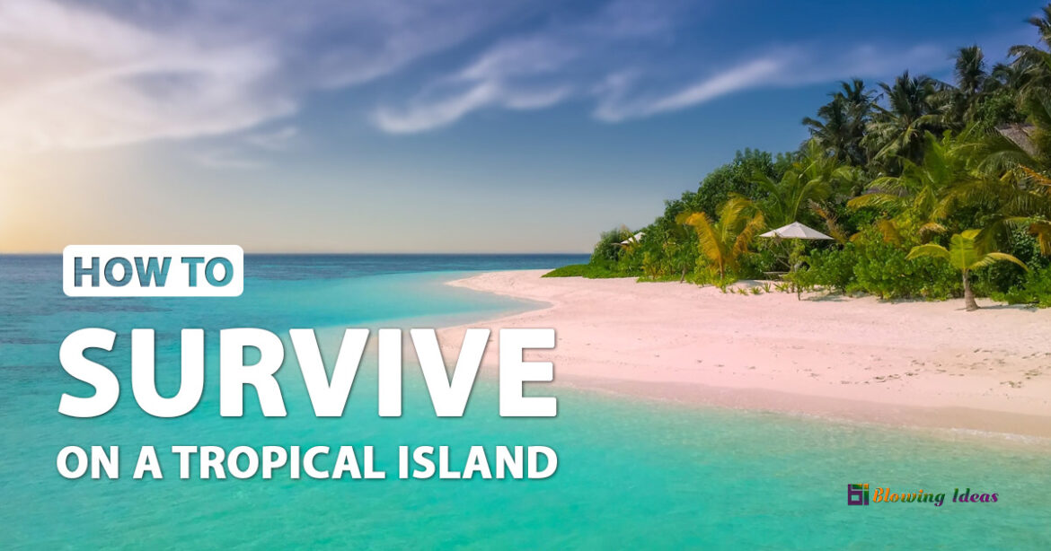 How to survive on a Tropical Island