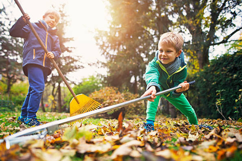 Rake leaves - Jobs for 8 Year Olds to Earn Money