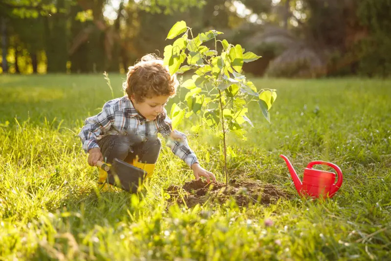 Tend the garden - Jobs for 8 Year Olds to Earn Money