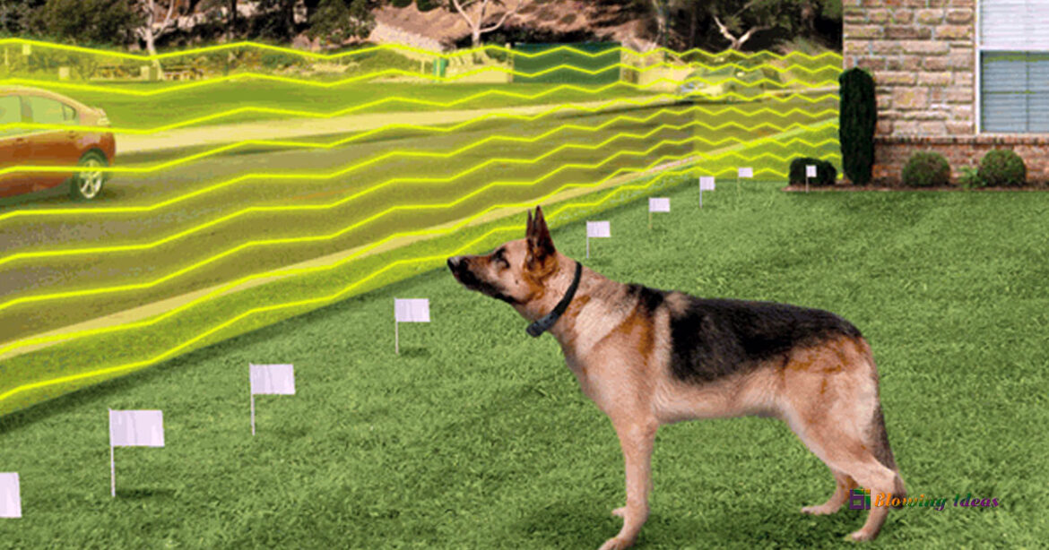 How to Find a Break in an Invisible Fence