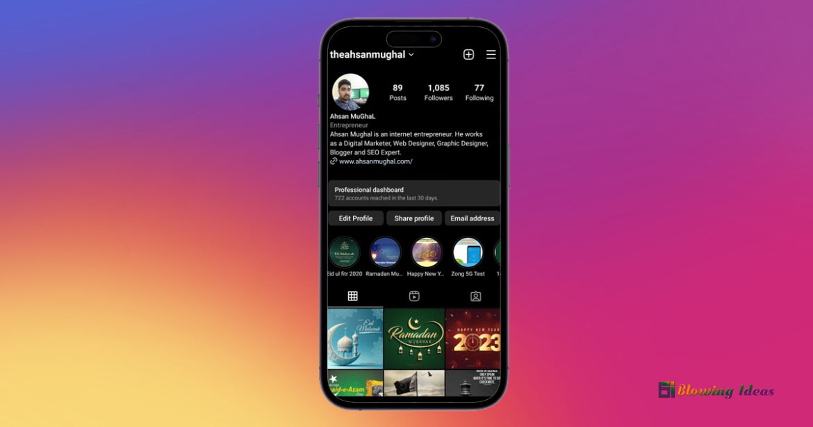 How to see your Old Bios on Instagram