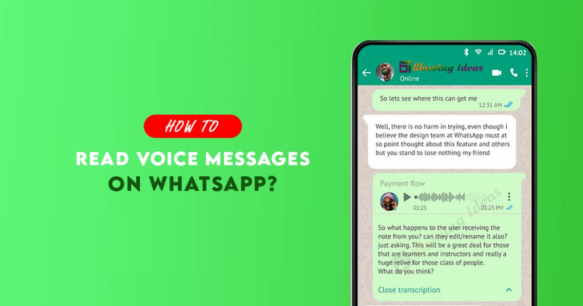 How to Read Voice Messages on WhatsApp